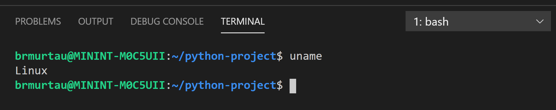 Integrated terminal uname shows Linux